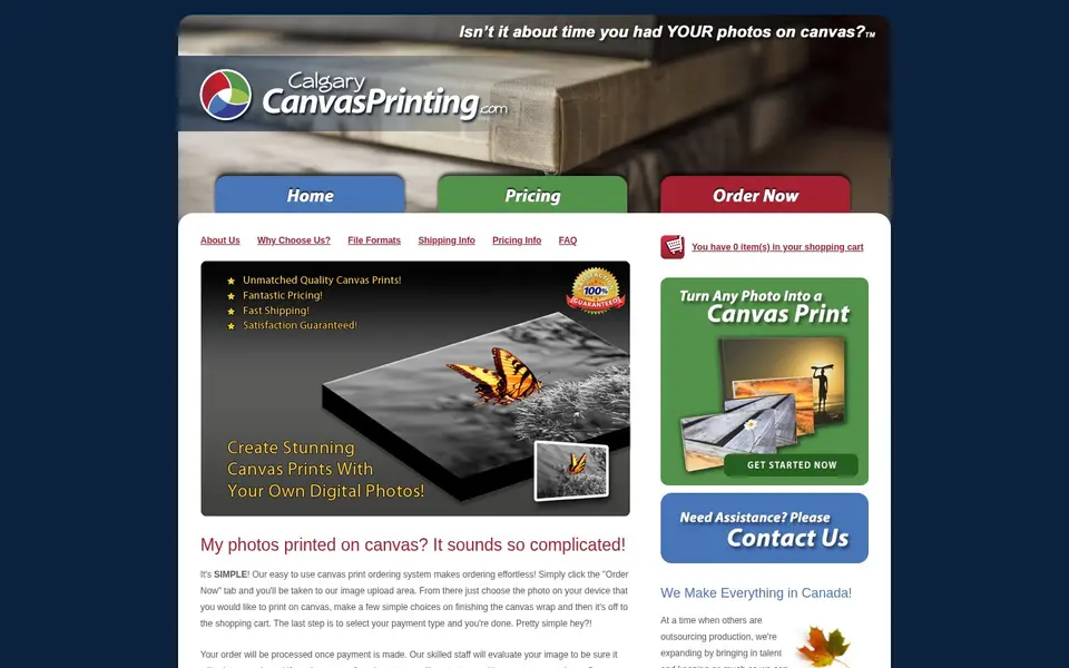 Transforming Customer Journey for Quality Canvas Printing Services: the client's live home page
