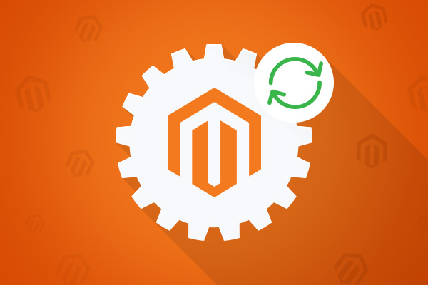 MAGENTO EXTENSION UPGRADE